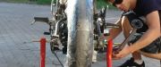 Motucan 01 R125R